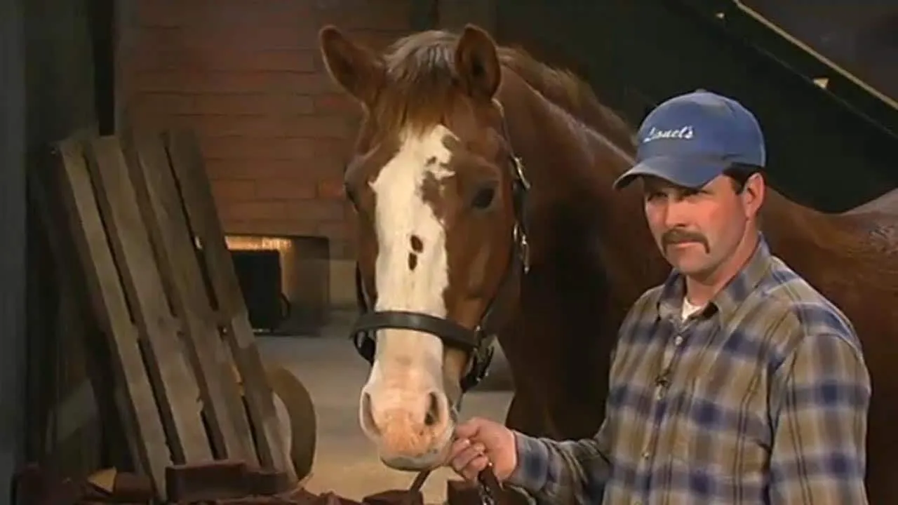 Barnieβs Horse Treats product