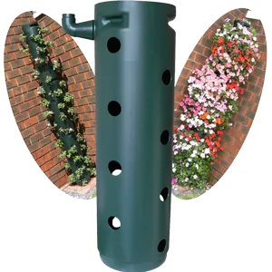 Blooming High product