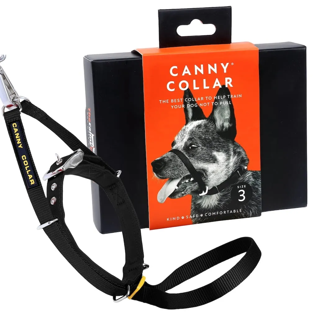 Canny Collar product