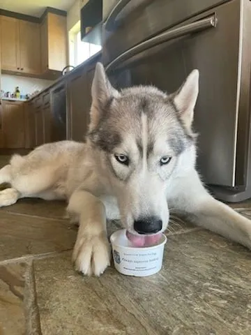 Chi’s Chilly Treats product