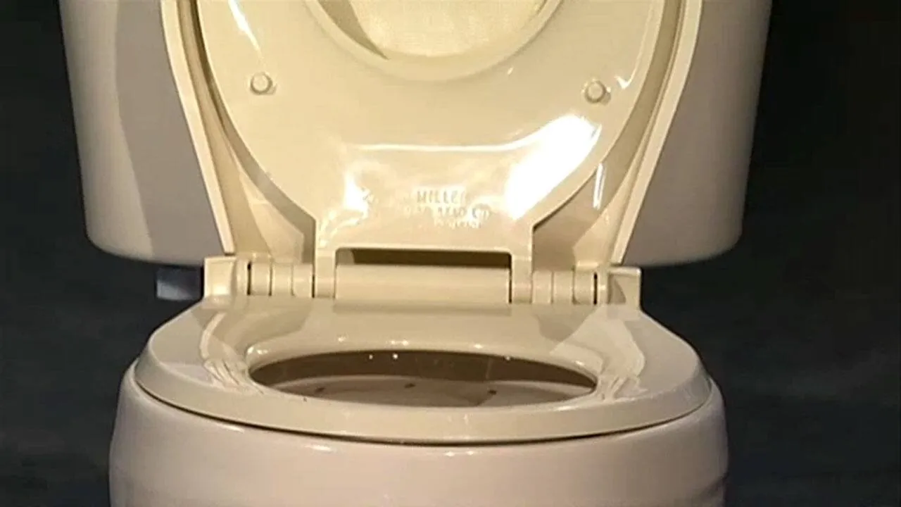 Choices Toilet Seat product