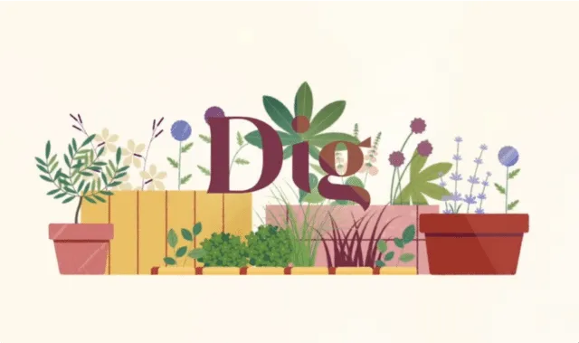 Dig product