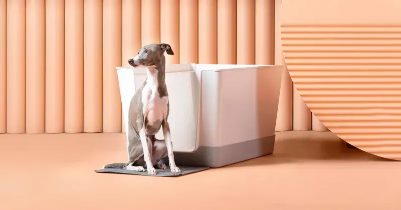 Doggy Bathroom product