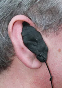 Earcandi product