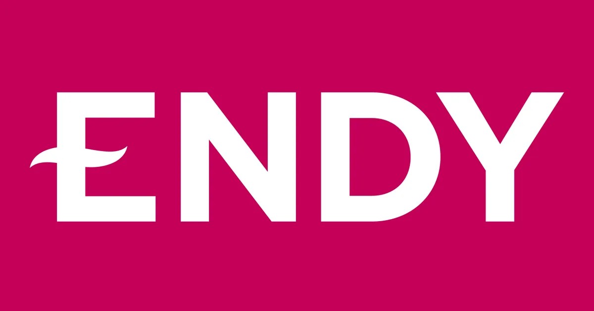 Endy Sleep product