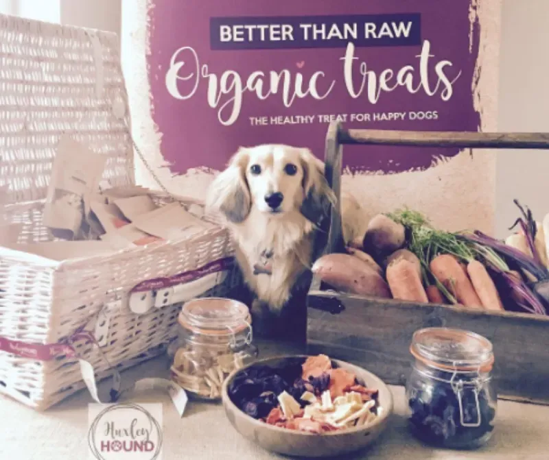 Huxley Hound product