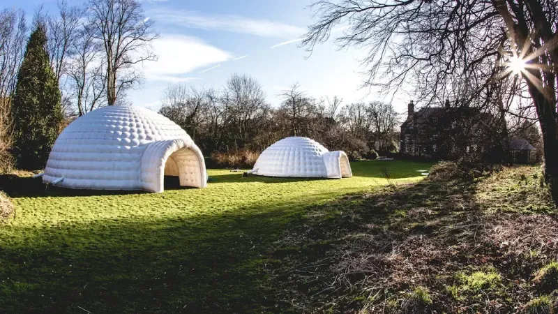 Igloo Disco product