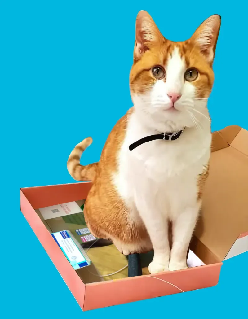 Inventor Cat product