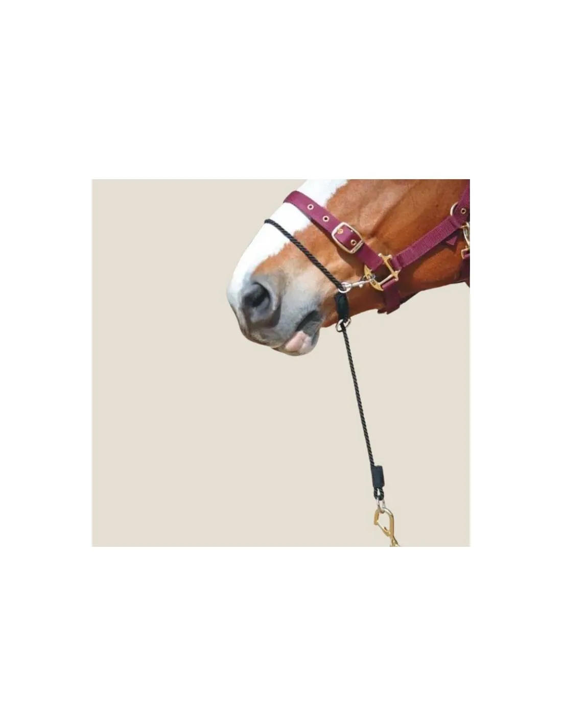 Kemp Controller product