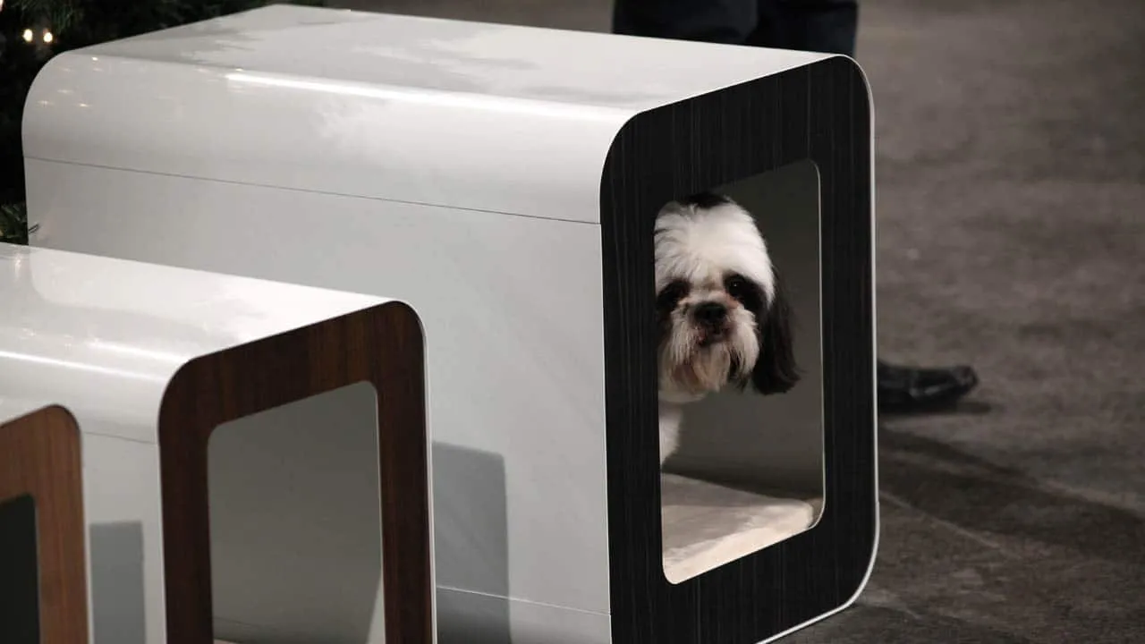 Kooldog House product
