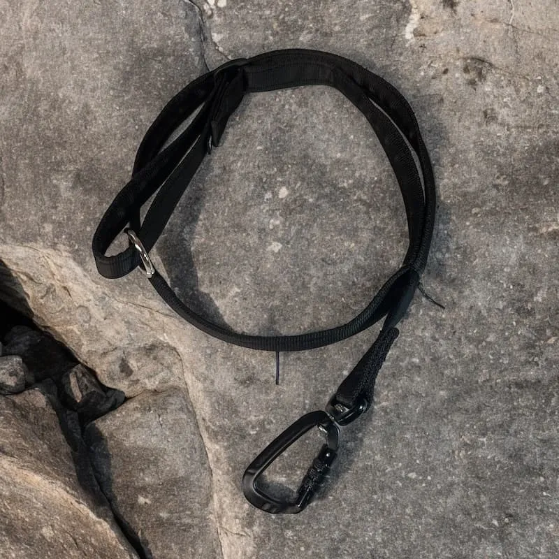 Meg Heath Dog Leads product