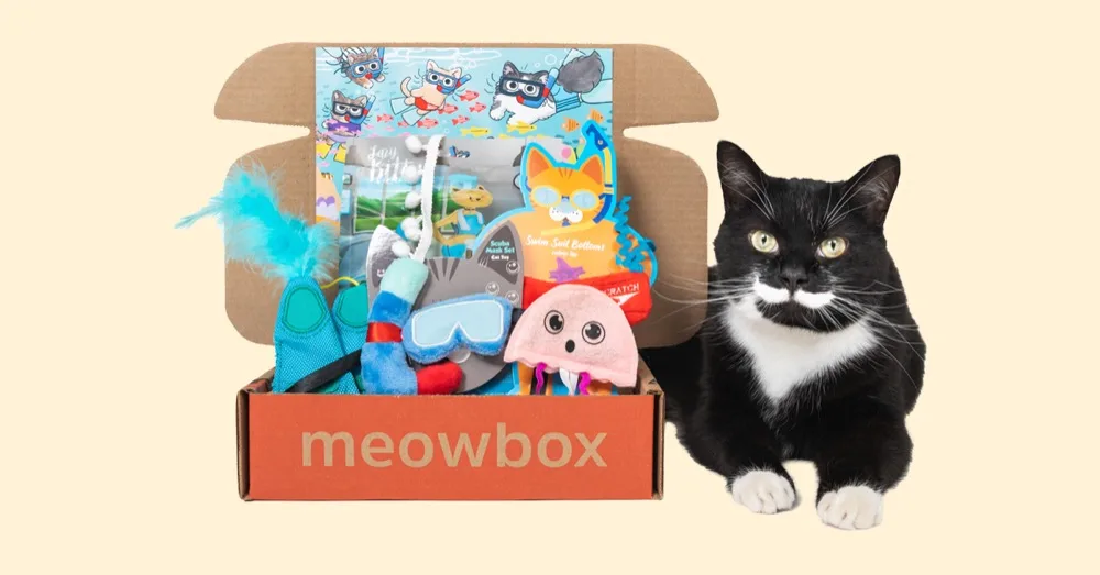 meowbox product