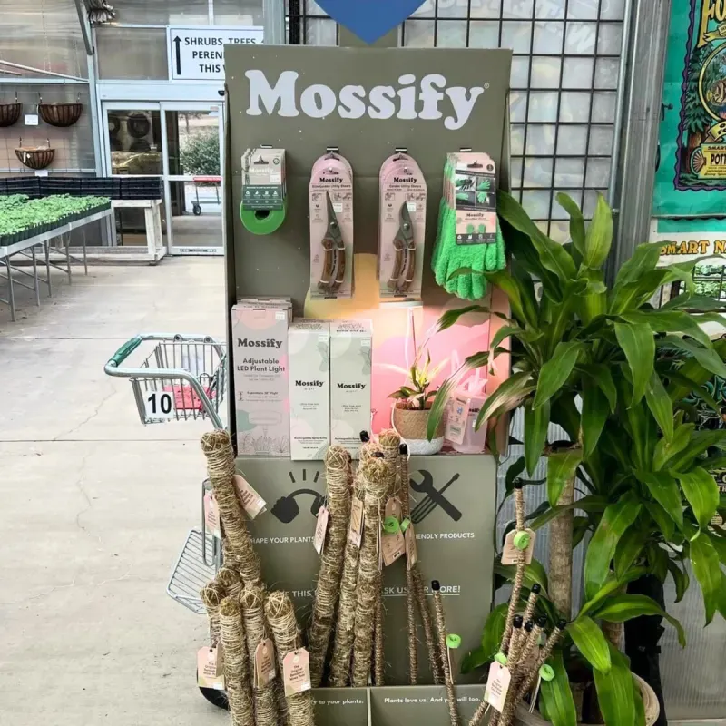 Mossify product