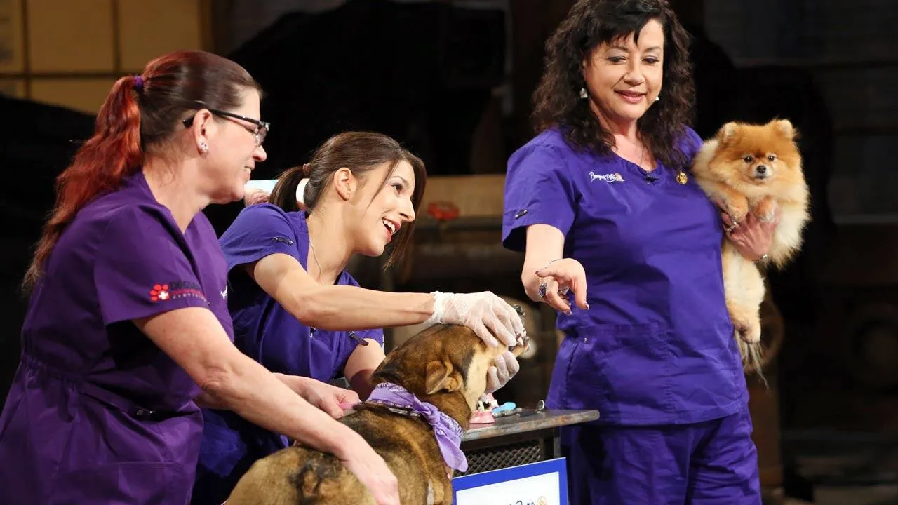 Pampered Pets Teeth Cleaning product
