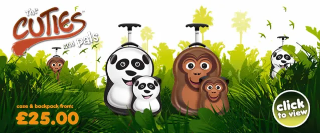 Picture Case Ltd product
