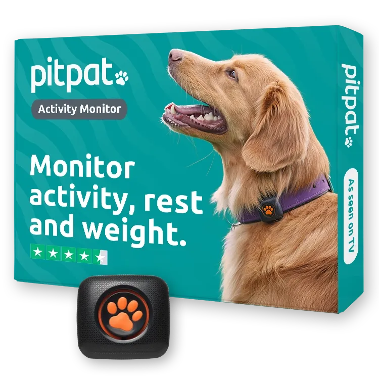Pit Pat Pet product