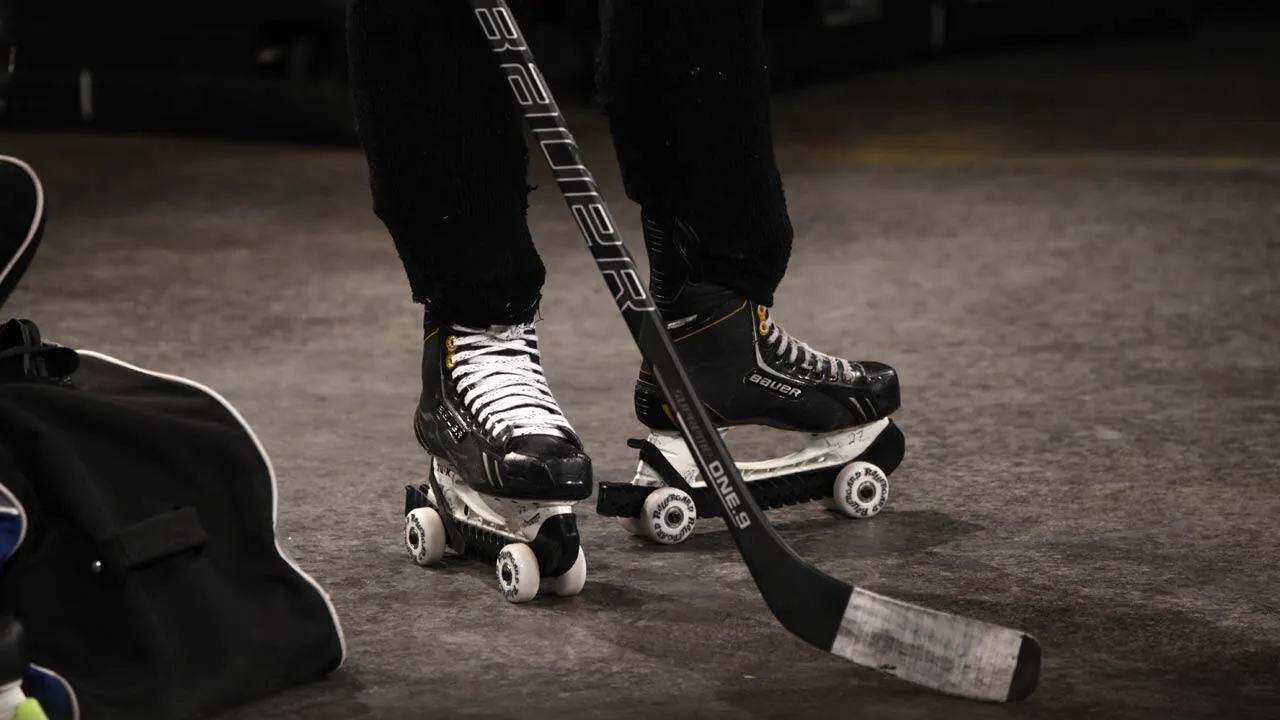 Rollergard product