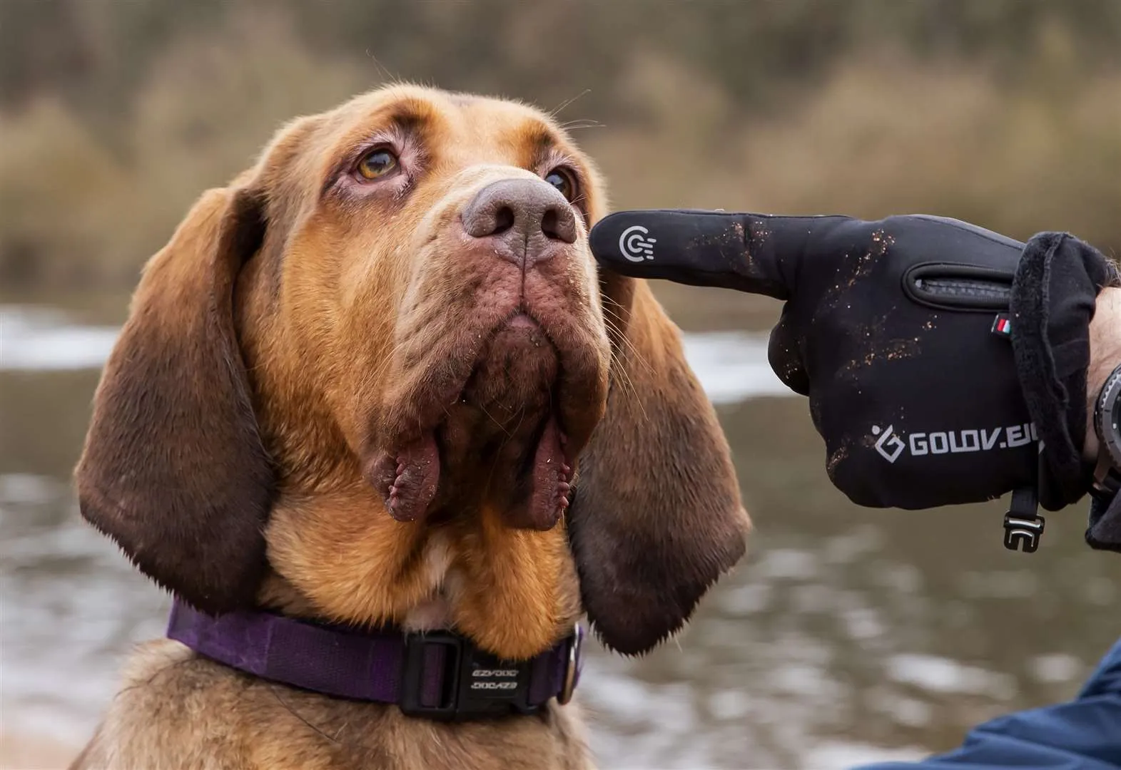 Smart Snout product