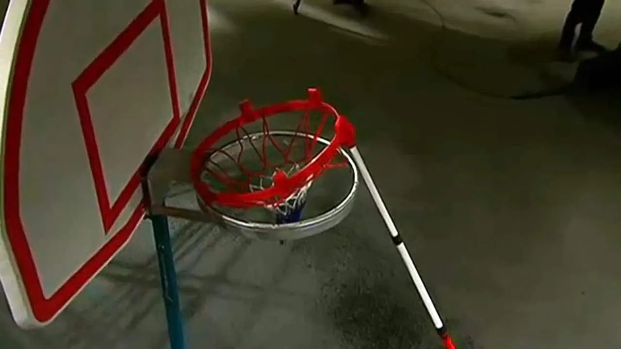 Swish Net product