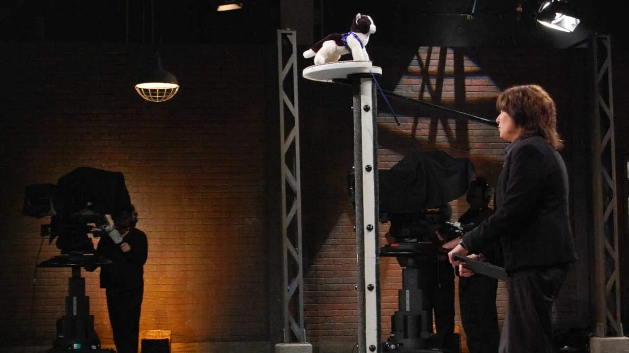 The Catwalk product