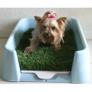 The Rascal Dog Letterbox product