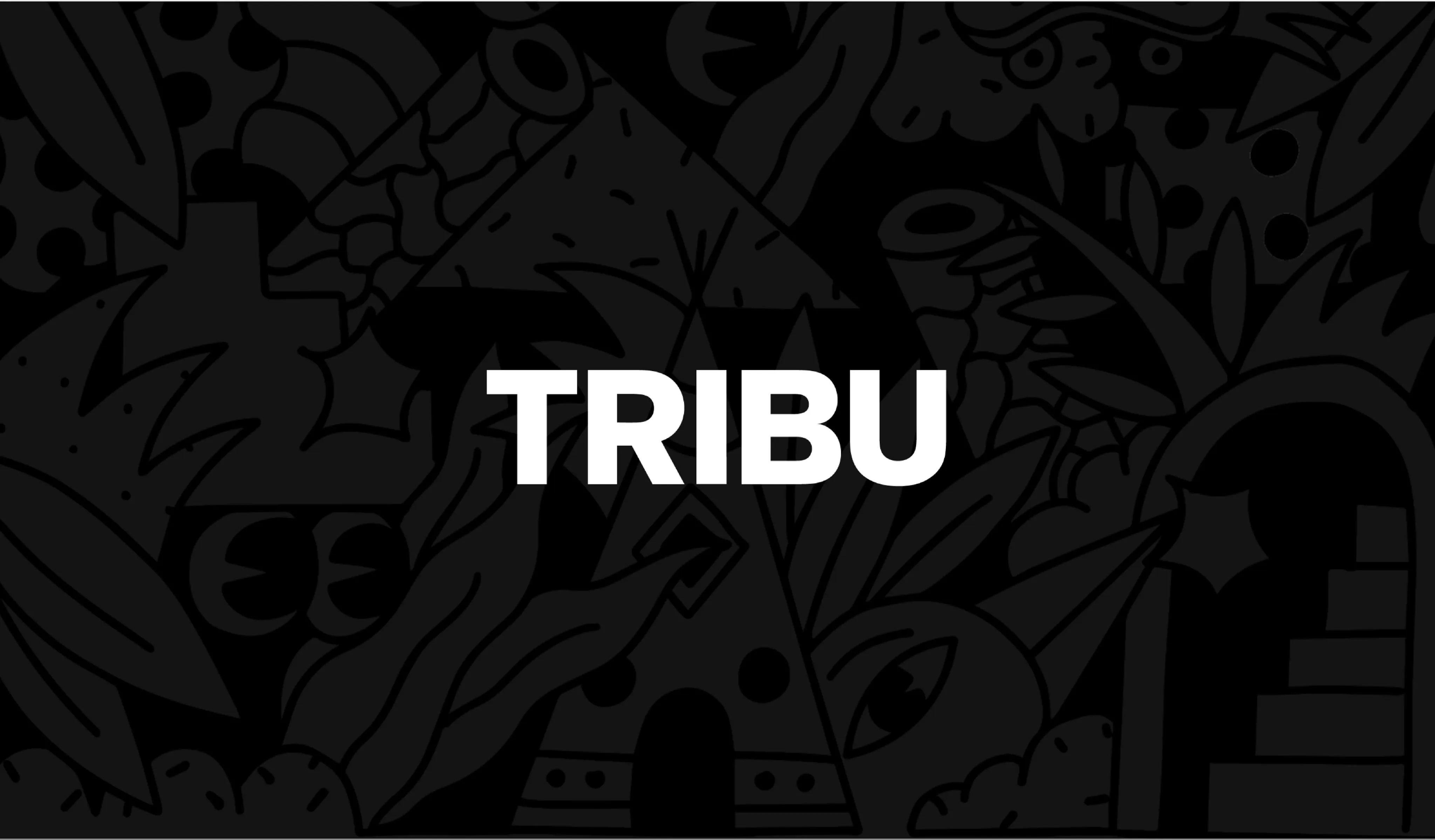 Tribu Experientiel product